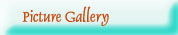 Picture Gallery